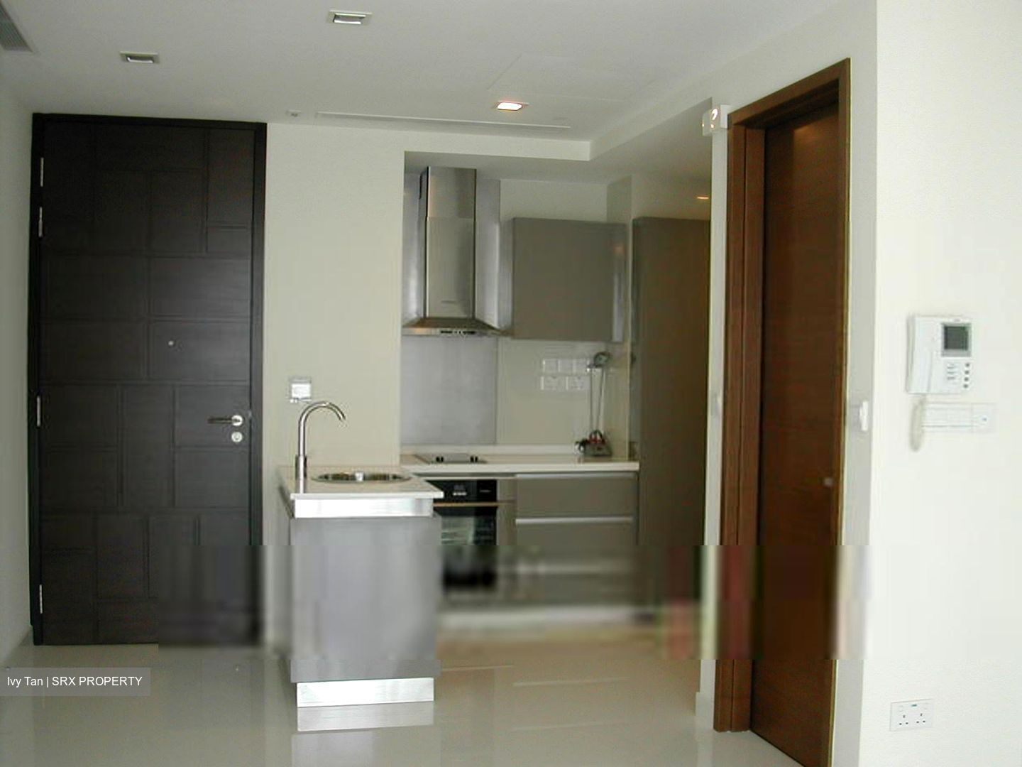 The Suites At Central (D9), Condominium #370595261